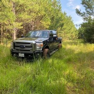 Meet your Posher, Fred